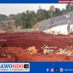 BAWONDO_20260219_003638_0000