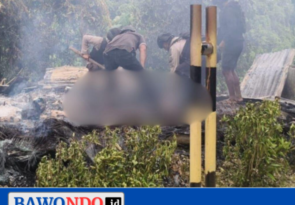 BAWONDO_20260223_202739_0000