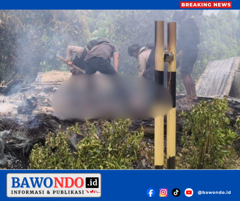 BAWONDO_20260223_202739_0000