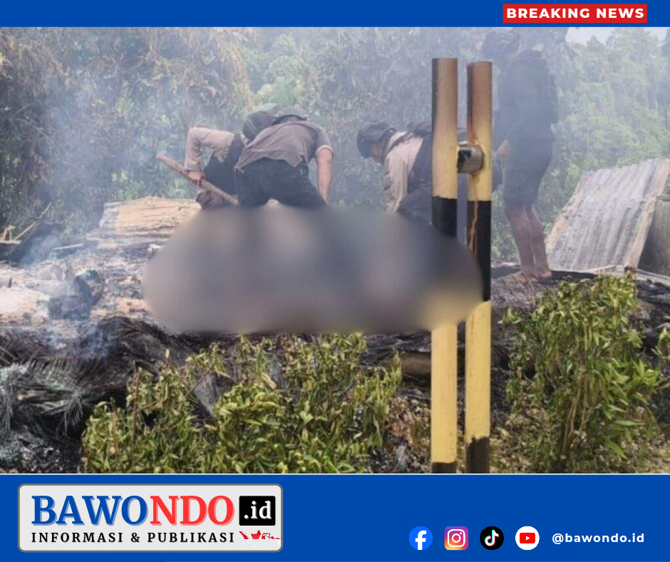 BAWONDO_20260223_202739_0000