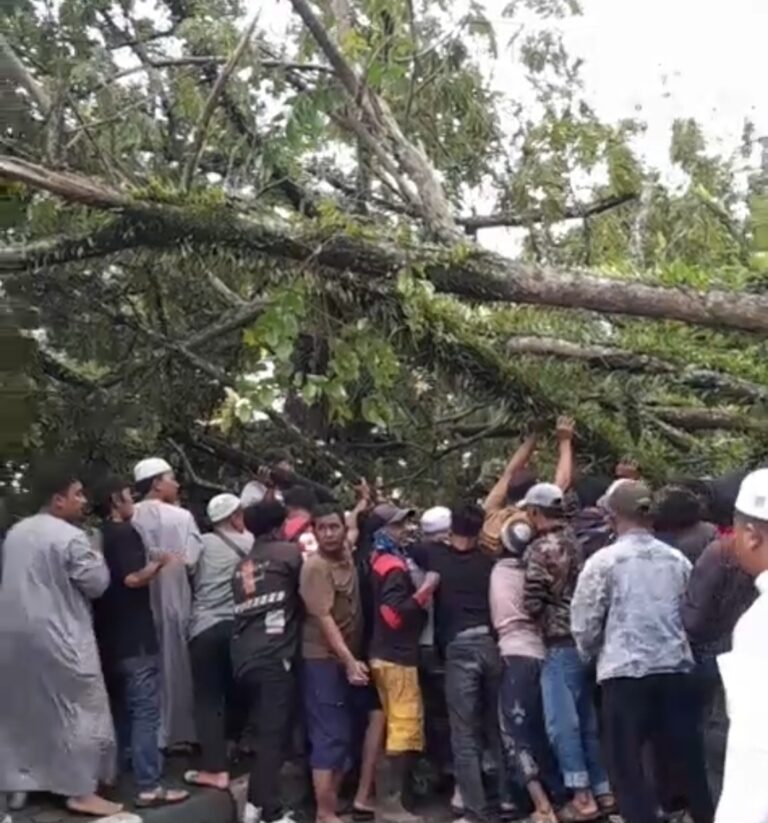 Screenshot_20260213_201844_Video Player