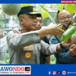 BAWONDO_20260301_200829_0000