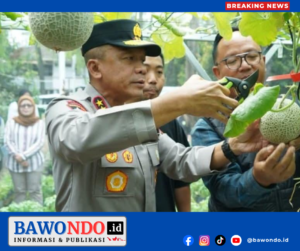 BAWONDO_20260301_200829_0000