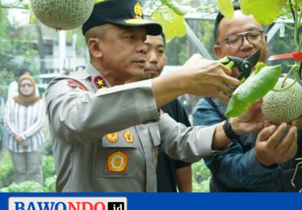 BAWONDO_20260301_200829_0000